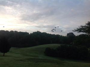 1546181_10202930049277637_7815429588259437599_n