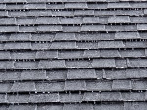 Frozenshingles