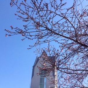 1610910_10204384802885568_872393346822426606_n[1]