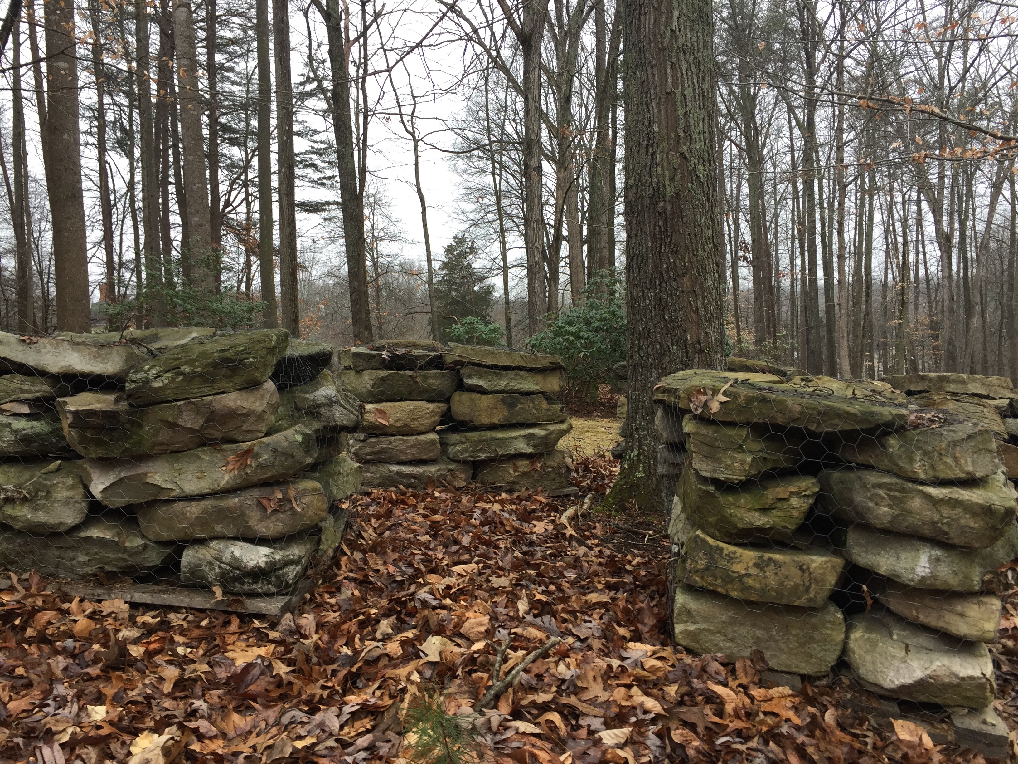 ways-of-deliverance-jpg