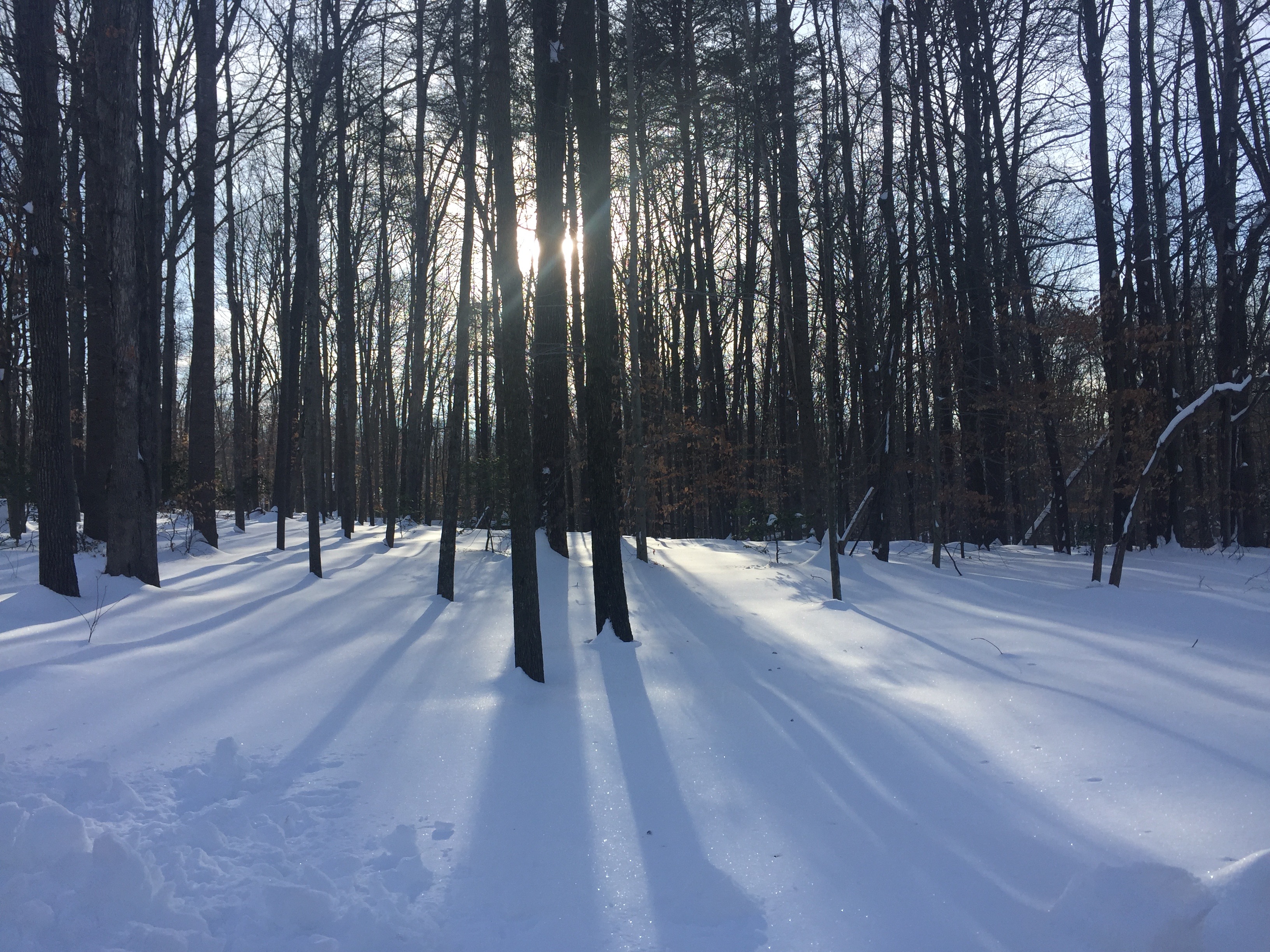 light in all directions